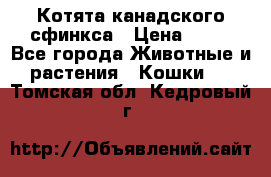 Котята канадского сфинкса › Цена ­ 15 - Все города Животные и растения » Кошки   . Томская обл.,Кедровый г.